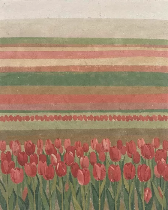Tulip Bands