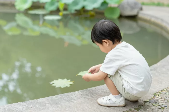 Pondside Wonder