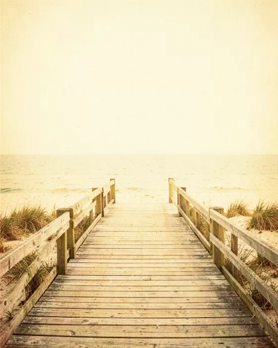 Boardwalk Pause
