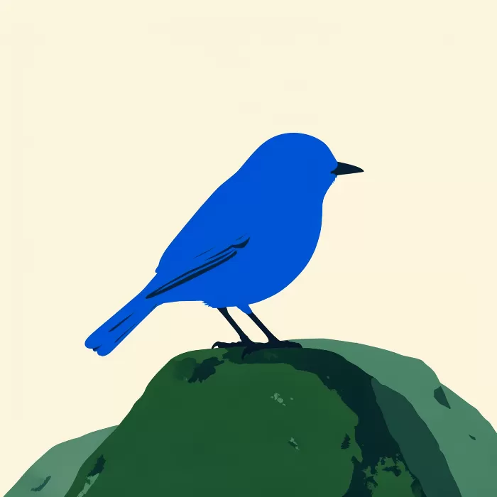 Cobalt Bluebird