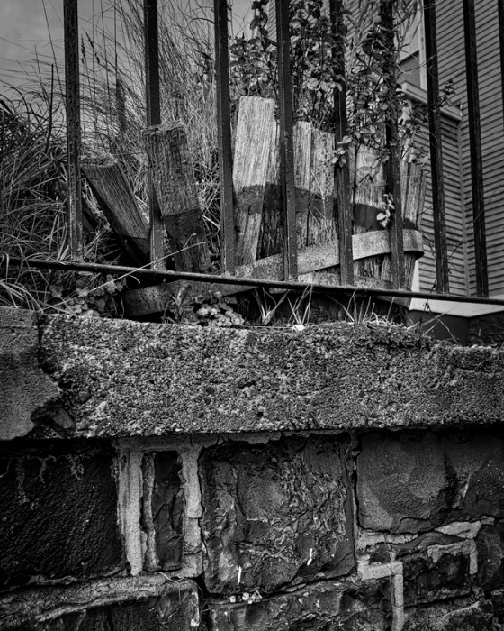 Falling Down BW - Newfoundland art print