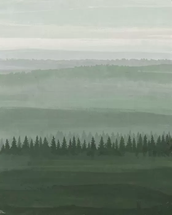 Foggy Fir