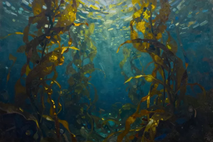 Ocean Shadows