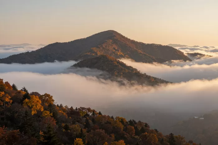 Autumn Summit