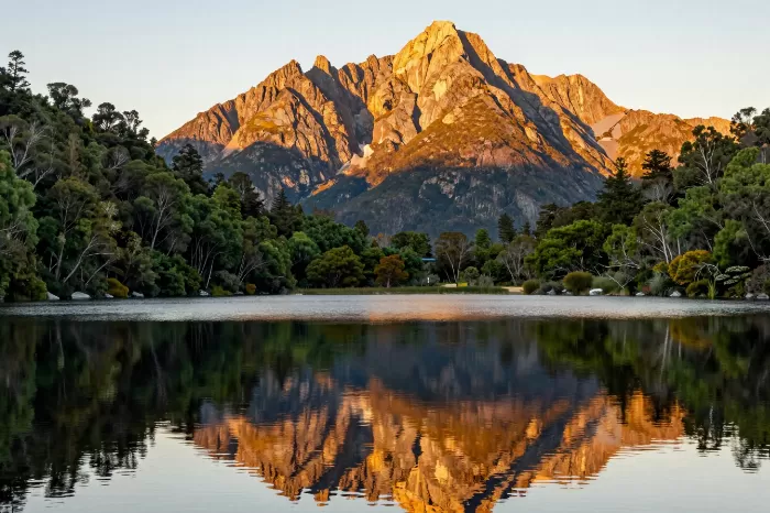 Golden Wilderness