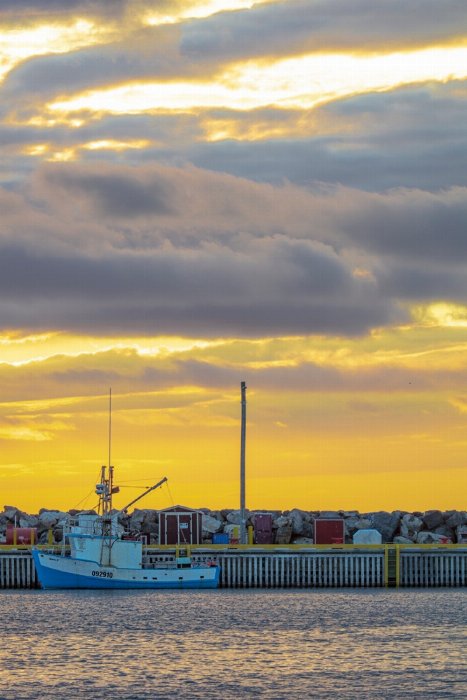 Safe Harbour - Newfoundland art print