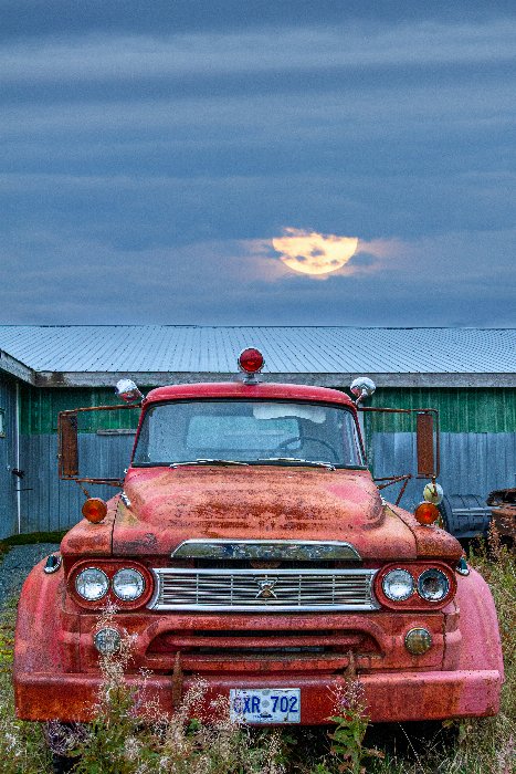 The Rambler - Newfoundland art print