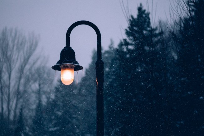 Winter Glow - Newfoundland art print