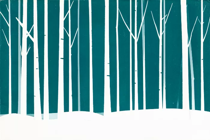 Birch Winter