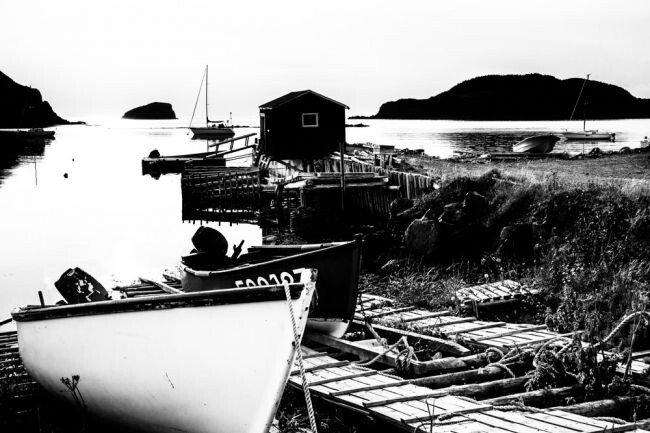 A Moment In Time - Newfoundland art print