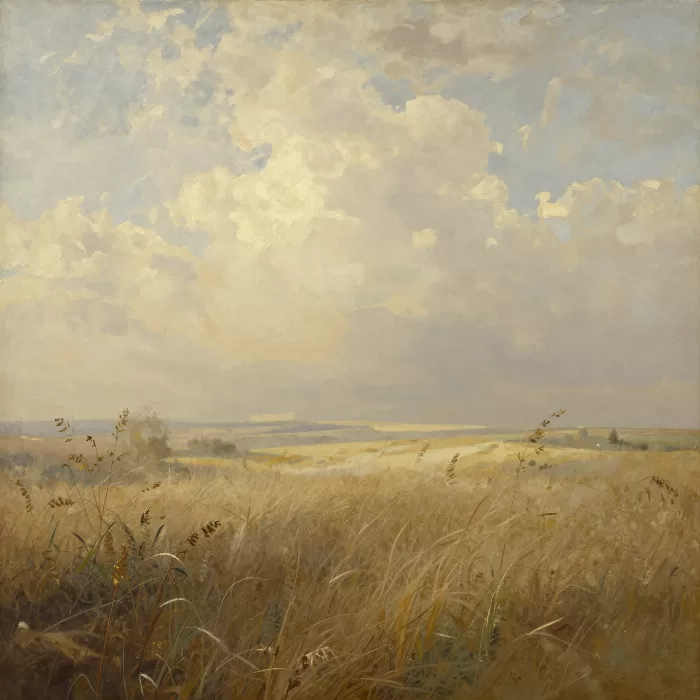 Hazy Field