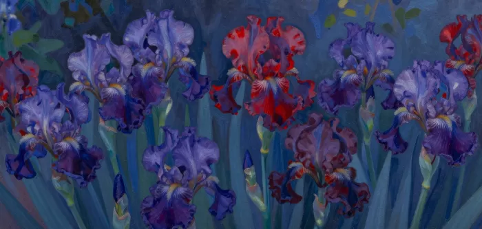 Dusk Irises