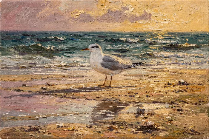 Tern at Dawn
