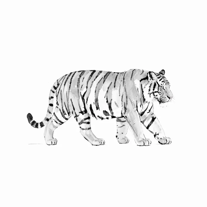 Tiger Walk