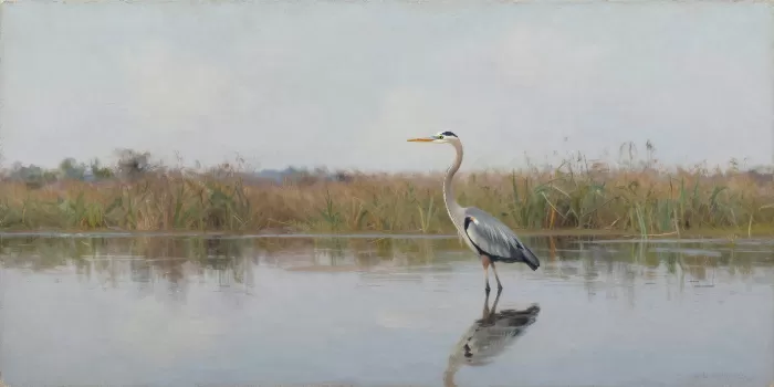 Heron Watch