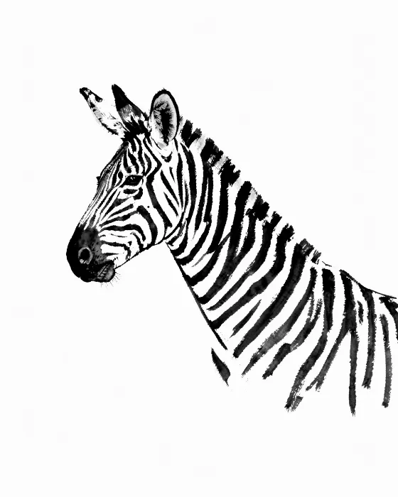 Zebra Ink