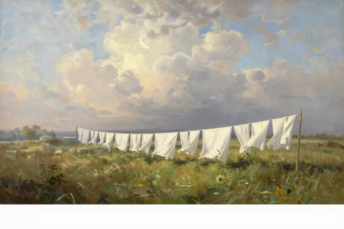 Laundry Meadow