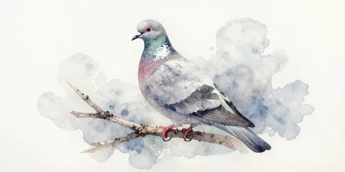 Dove Perch
