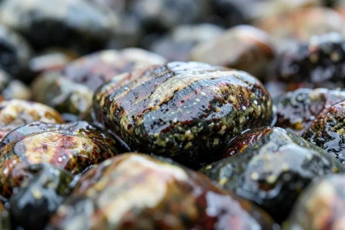 Glacier Pebbles
