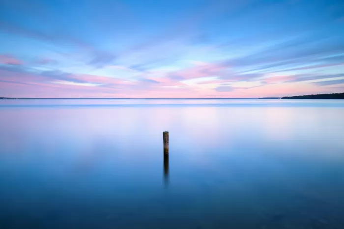 Liquid Light