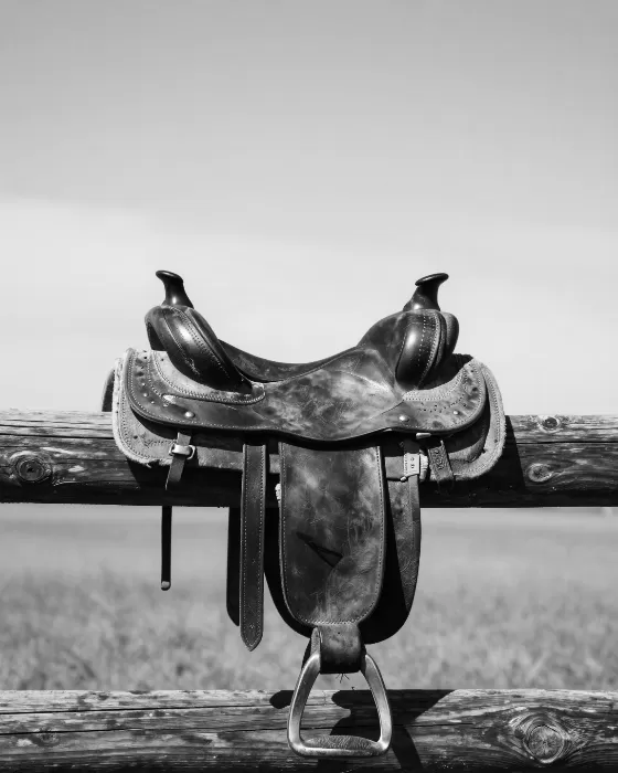 Weathered Leather
