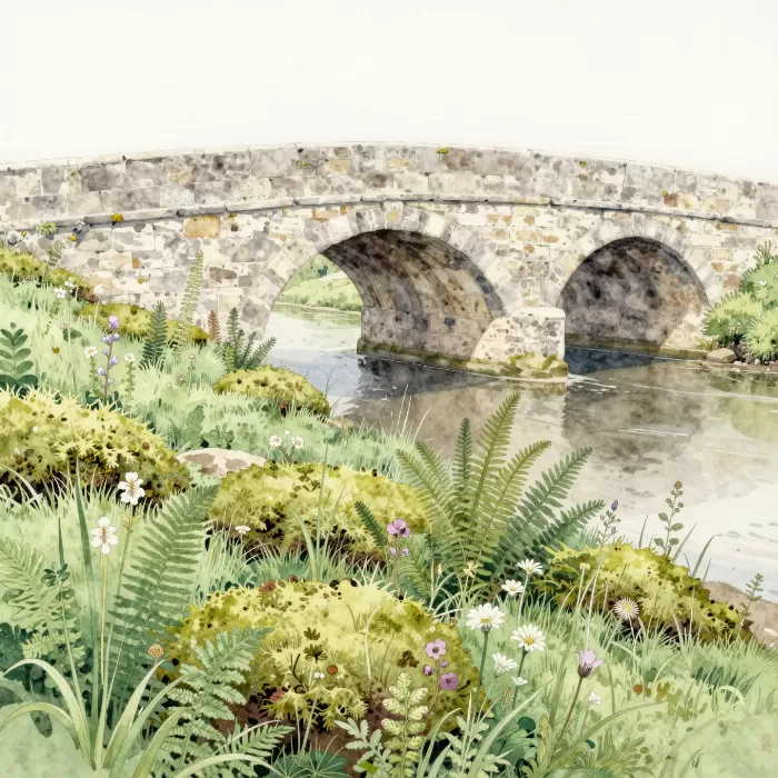 Riverbank Ferns