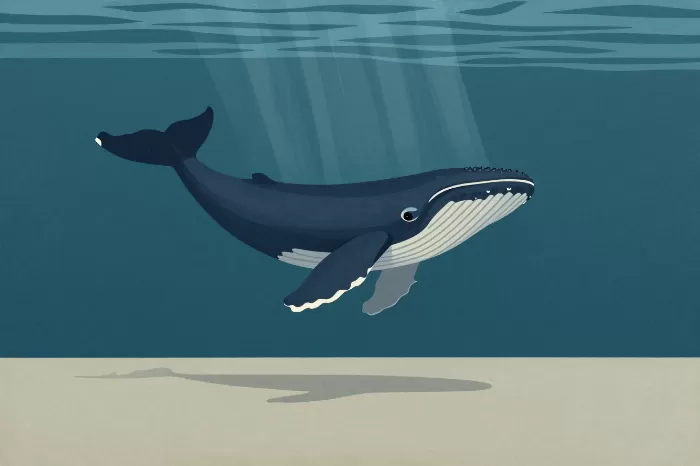 Lone Whale