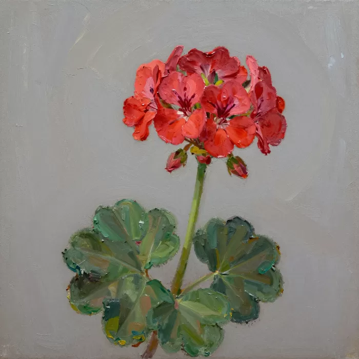 Geranium Impasto