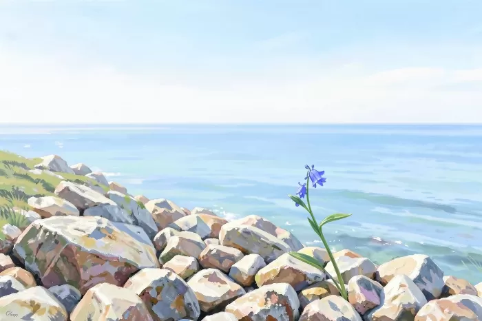 Bluebell Coast