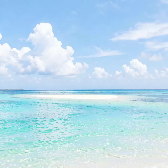 Bright Expanse