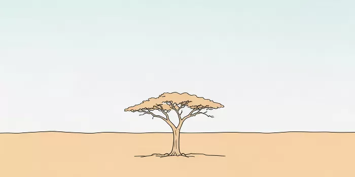 Acacia Air