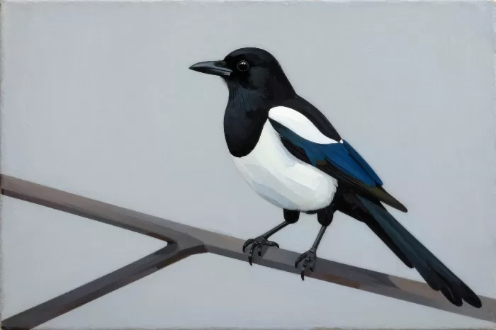 Magpie Geometry