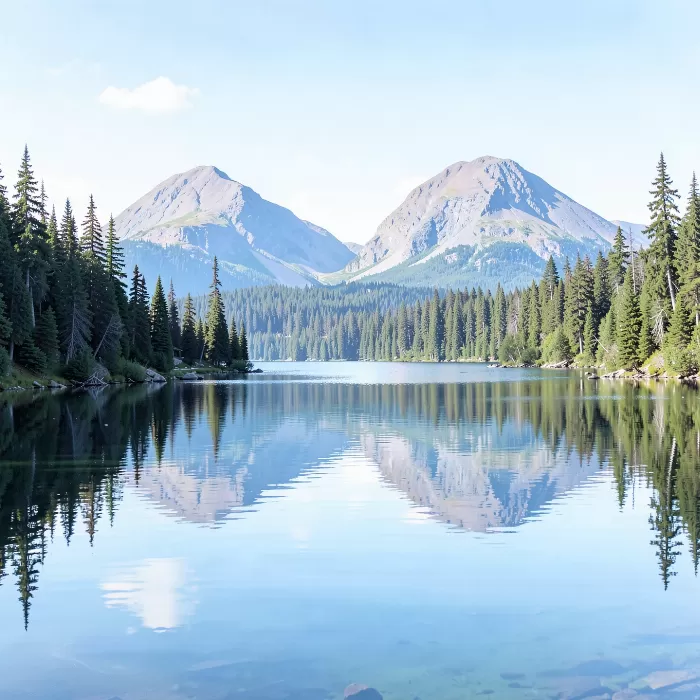 Maine Mirror