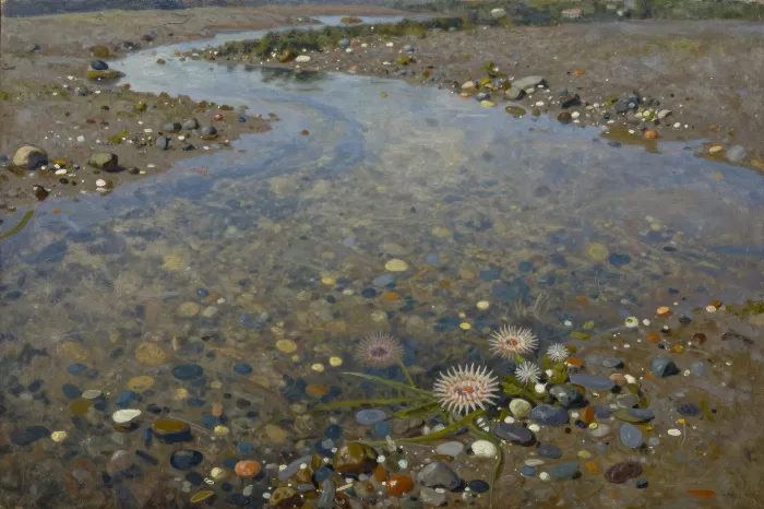 Tidal Treasures