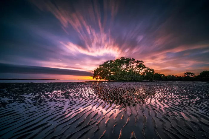 The Island