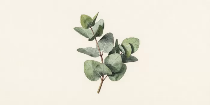 Verdant Sprig