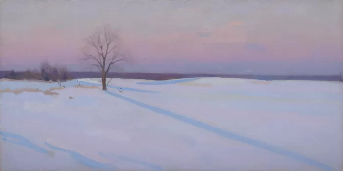 Solitary Tree