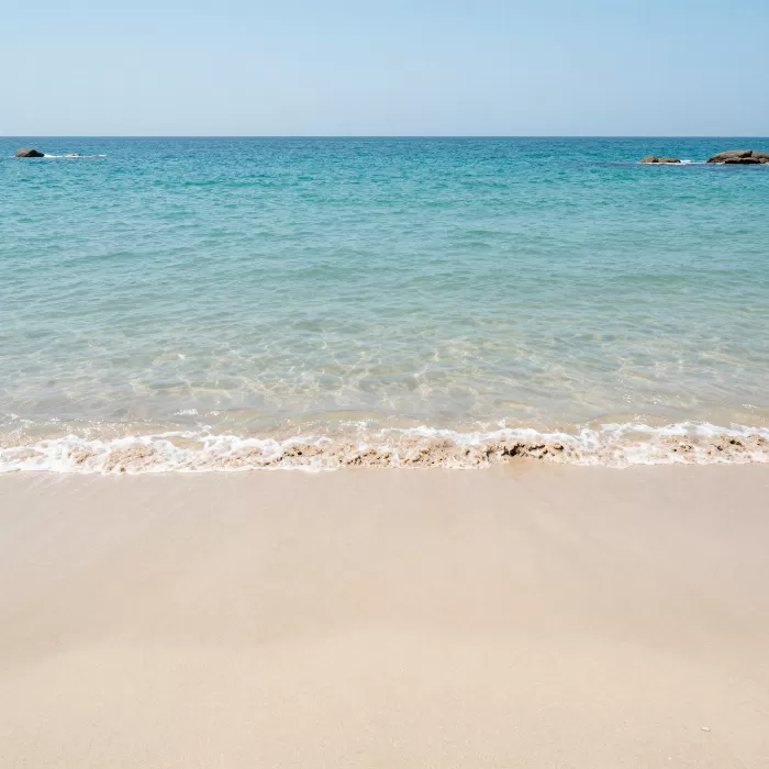 Midday Shore