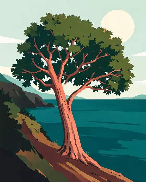 Arbutus Coast