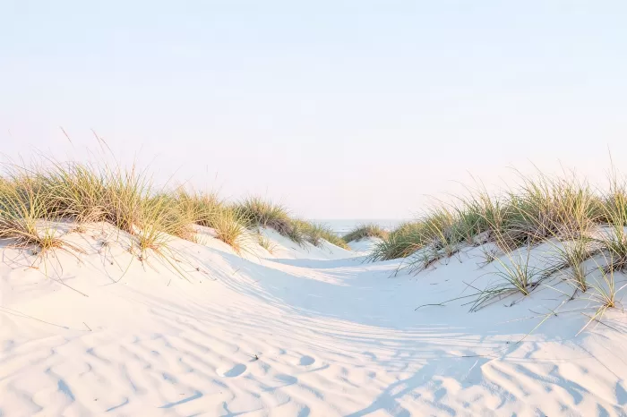 Dune Ripples
