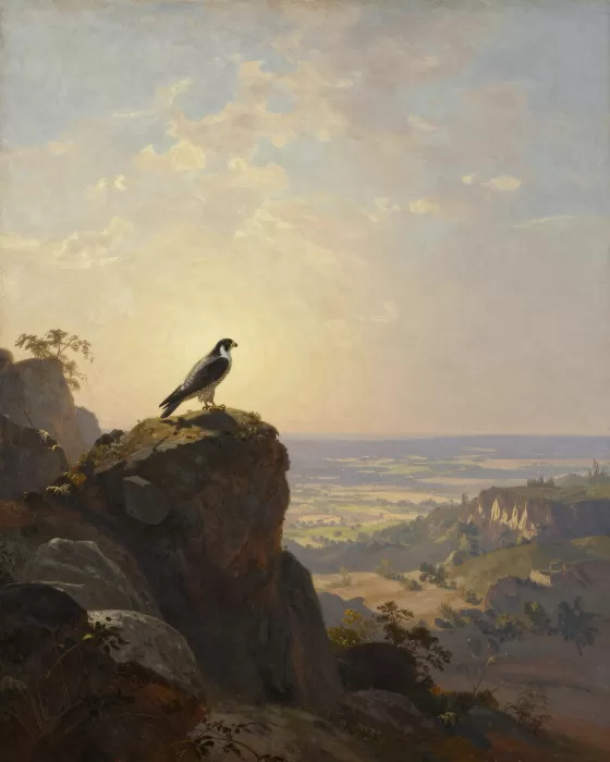 Falcon's Crag