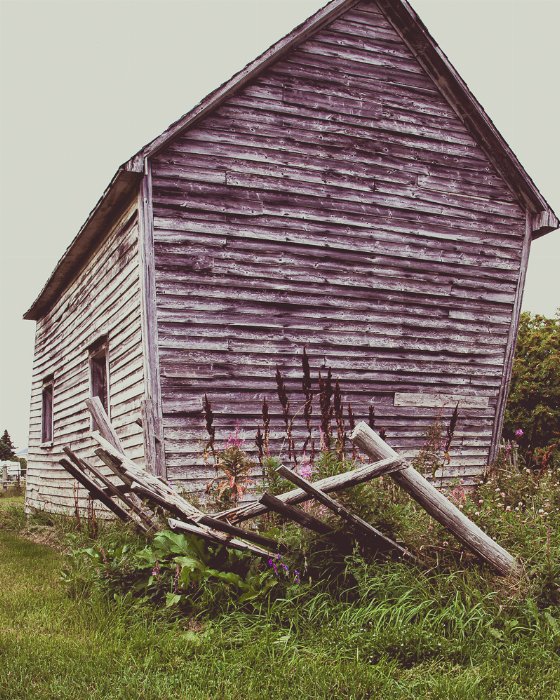 Fallen Yesterdays - Newfoundland art print
