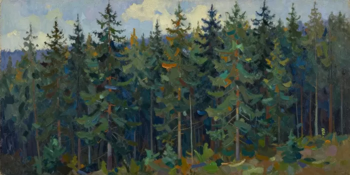 Spruce Sweep