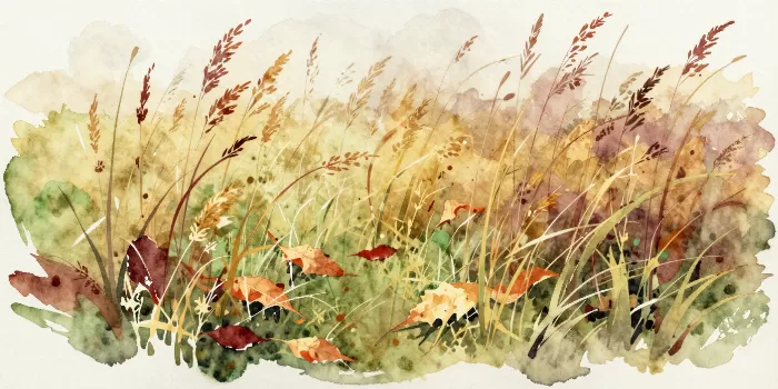 Russet Grasses