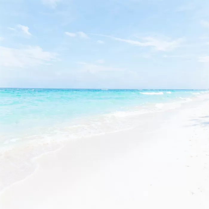 Antigua Shores