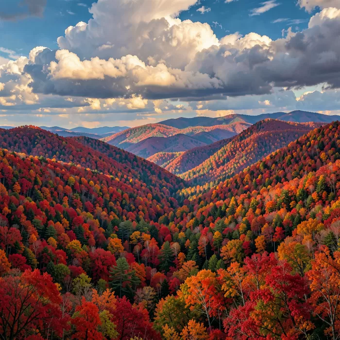 Ozark Autumn