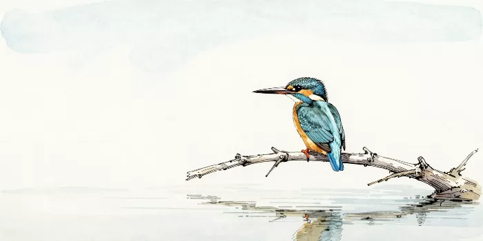 Blue Perch
