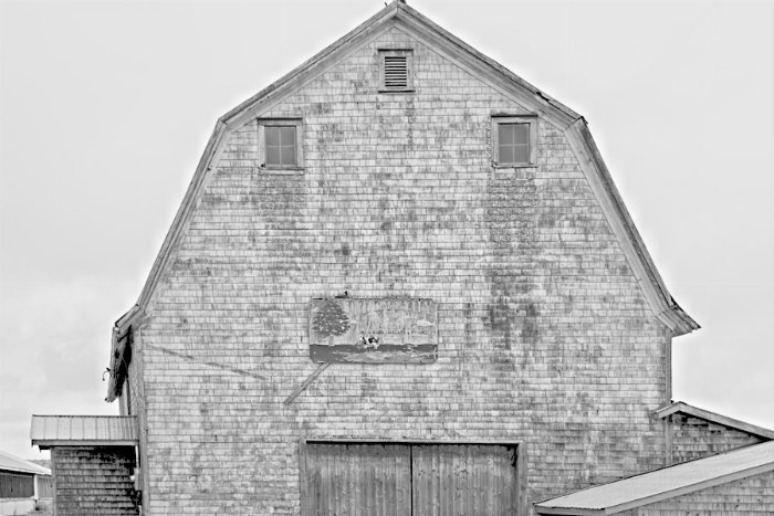 MapleLilyFarm-001 - Newfoundland art print