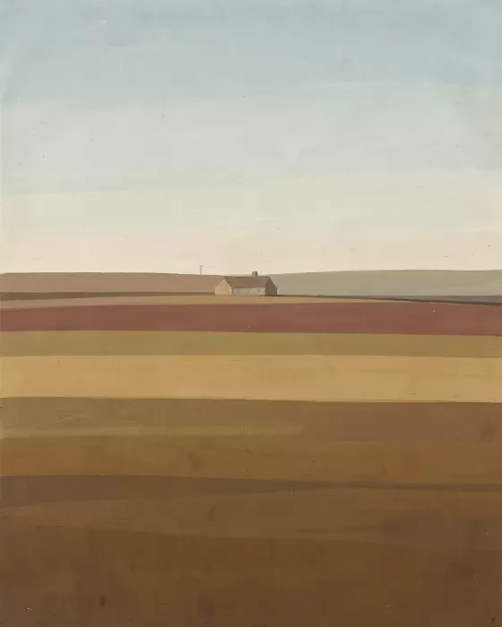 Field Notes