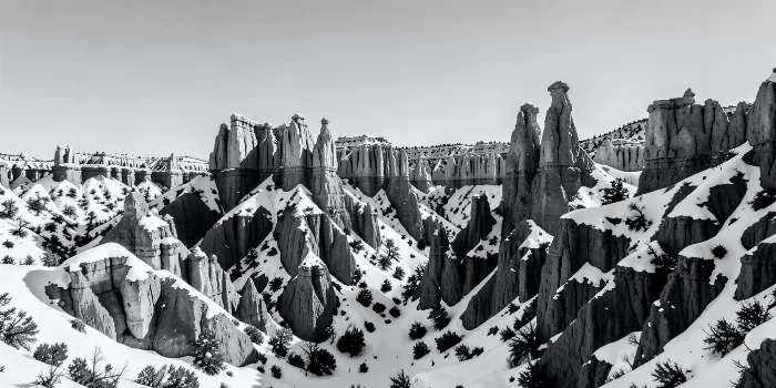 Colorado Sanctuary